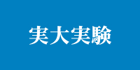 実大実験